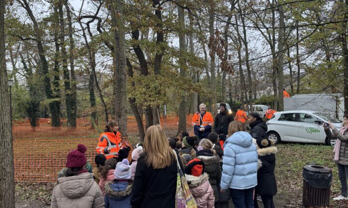 Planter pour apprendre : les élèves d’Eragny-sur-Oise au cœur du reboisement